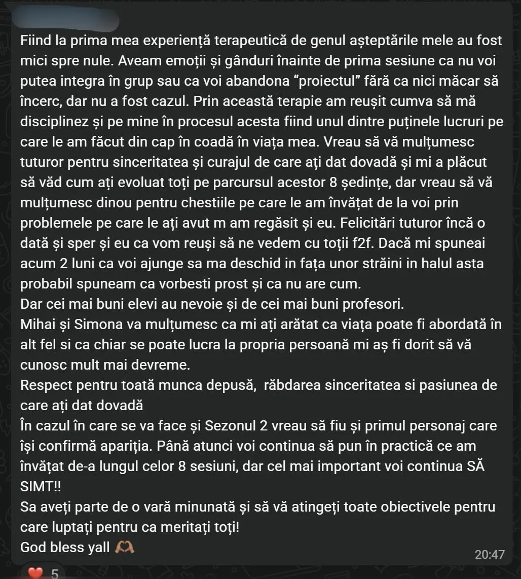 Recenzie participant 3