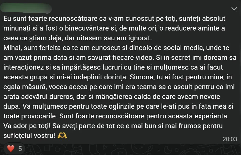 Recenzie participant 6