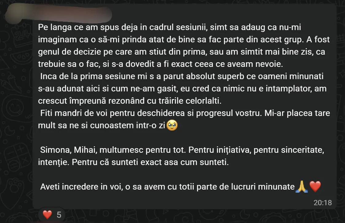 Recenzie participant 7